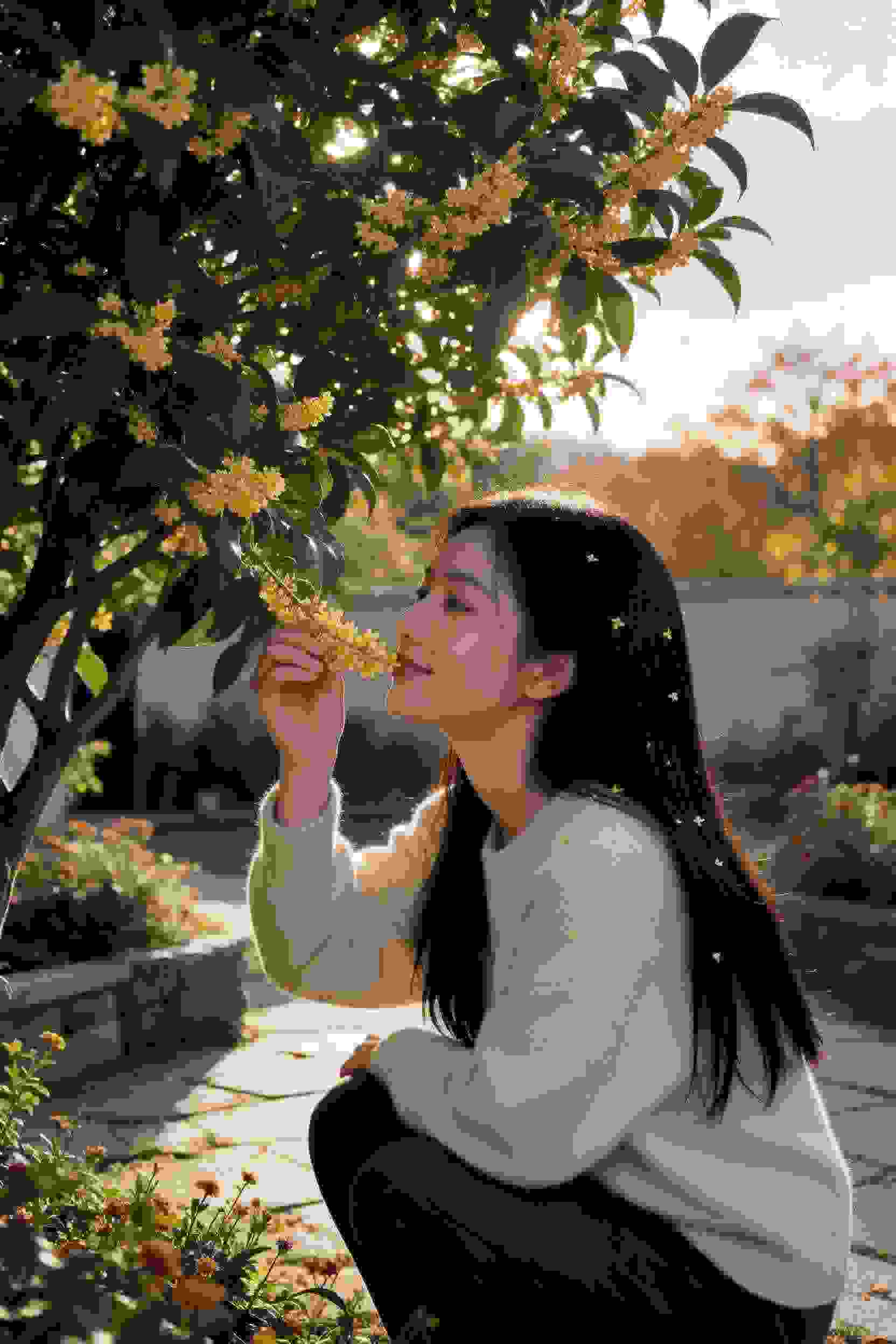 月下倾心